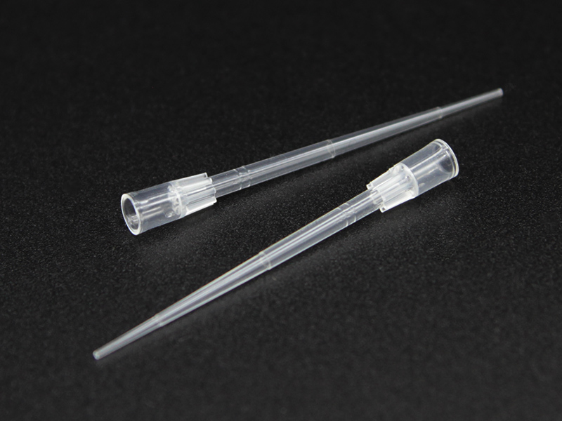 Polypropylene (PP)